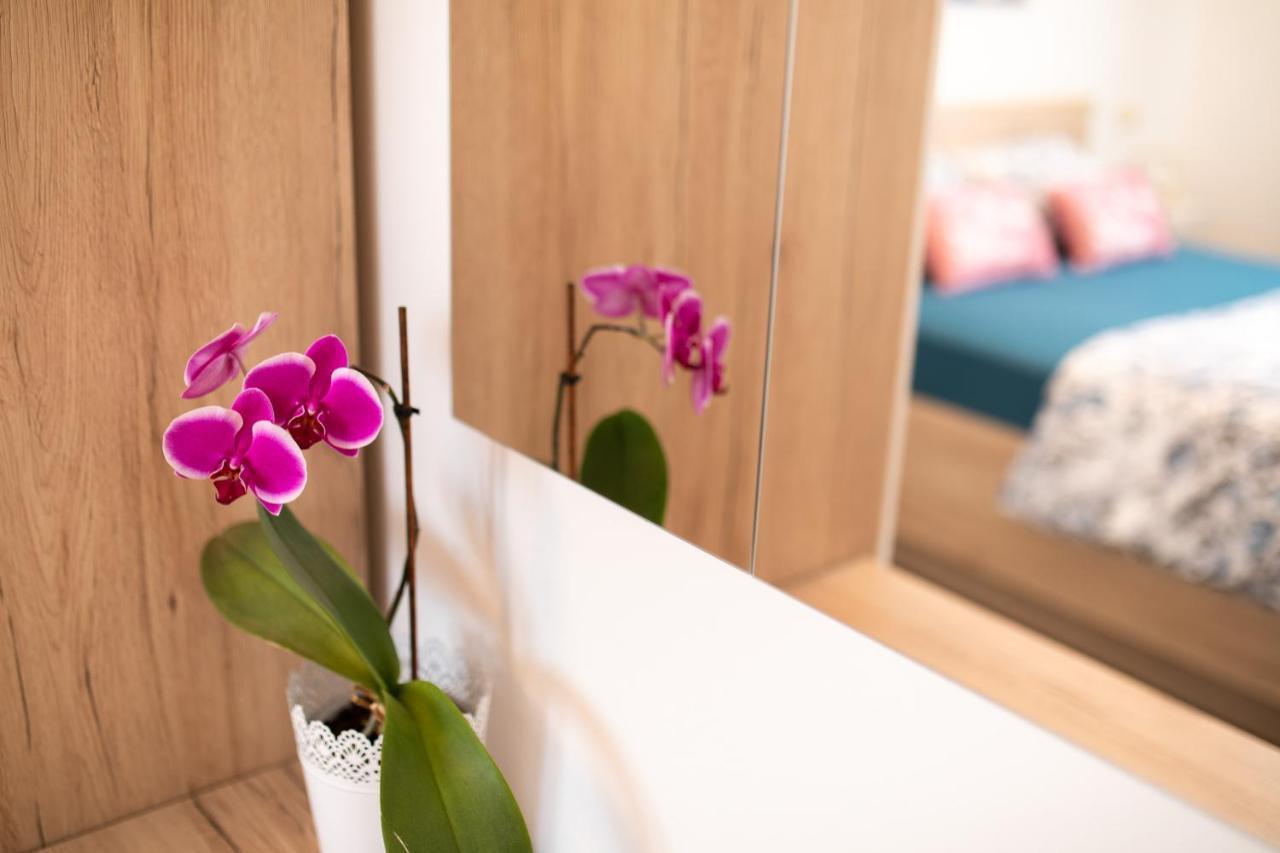 Apartman Jelena 瓦比尼科 外观 照片